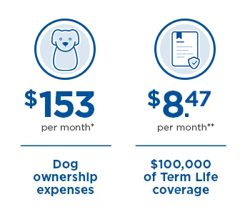 Pet cost comparison with Traditional Term Insurance