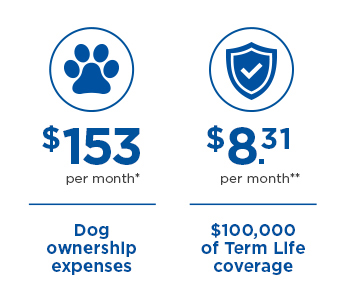Pet cost comparison with Traditional Term Insurance